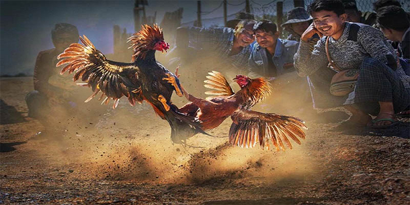 mb 666 chơi bắn cá đổi thưởng