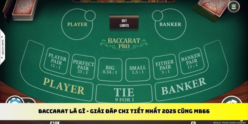 mb 666 gà chọi cu cần
