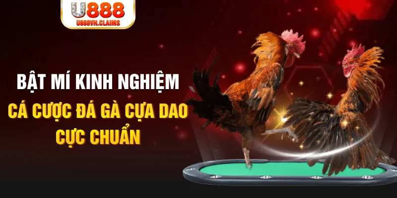 mb 666 tỷ lệ cá cược châu á là gì