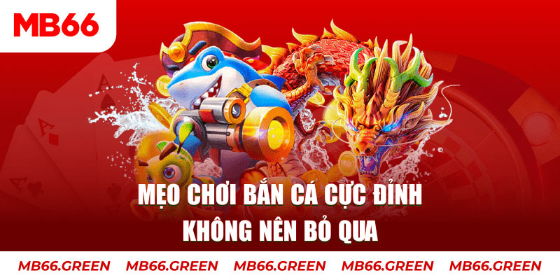 mb 666 xổ số miền bắc