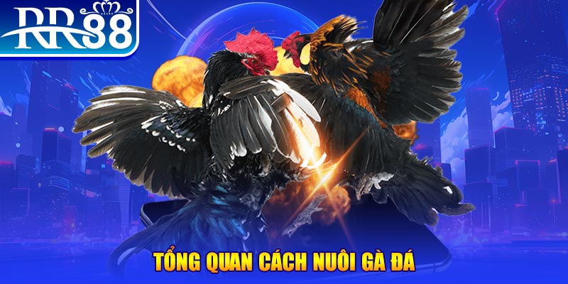 mb 666 VA Điện Tử