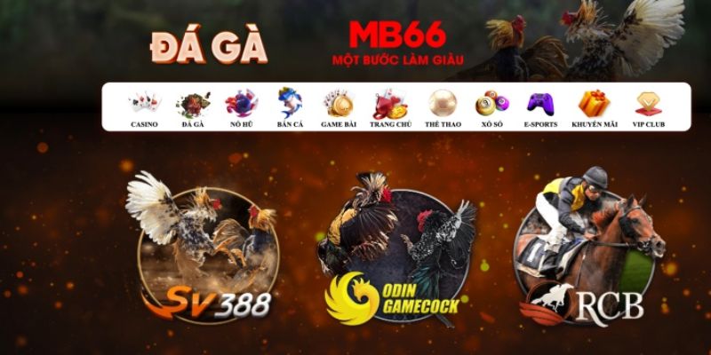 mb 666 đăng nhập poker số 1