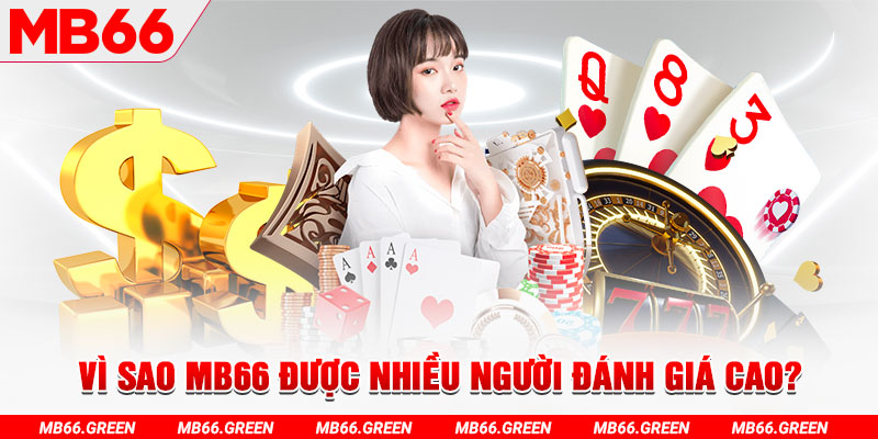 mb 666 đá gà