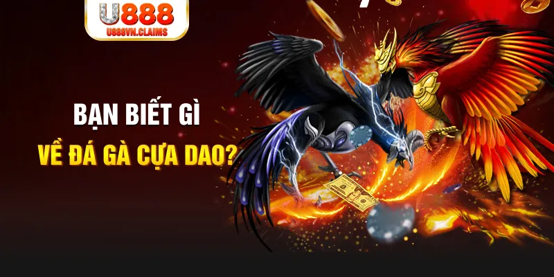 mb 666 nổ hủ là gì