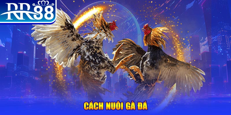 mb 666 xổ số an giang