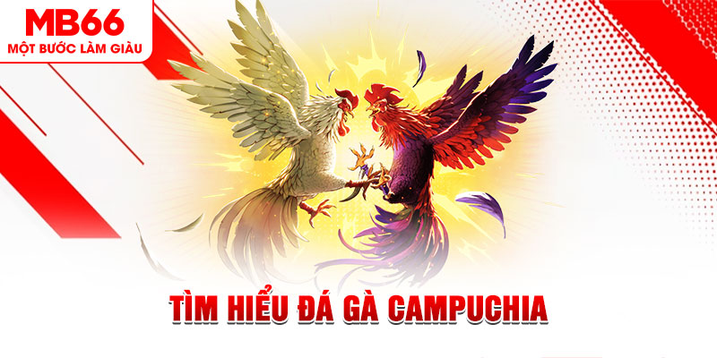 mb 666 đá gà trực tiếp