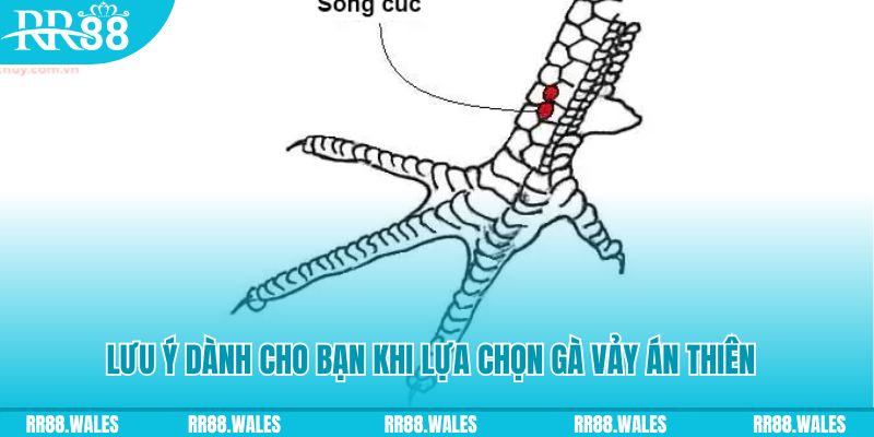mb 666 xổ số đồng nai