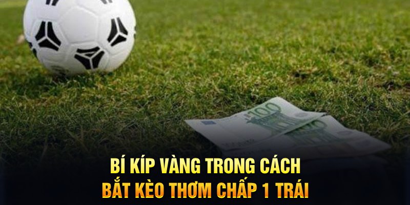 mb 666 sổ xô miên bắc