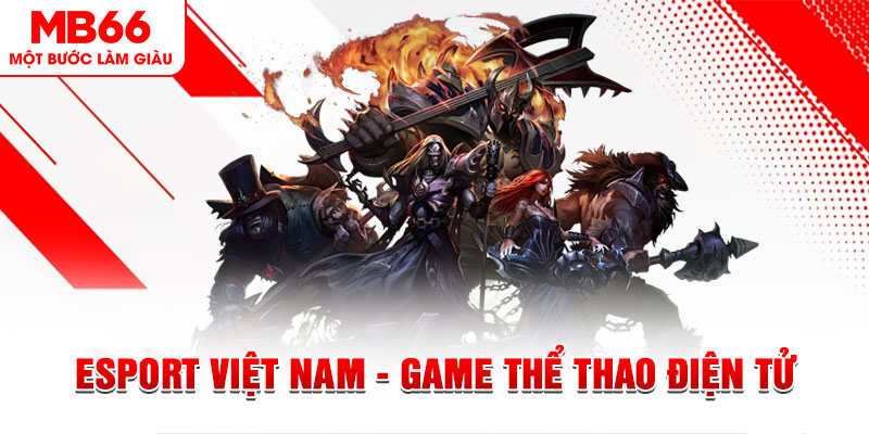 mb 666 what are the most popular casino games