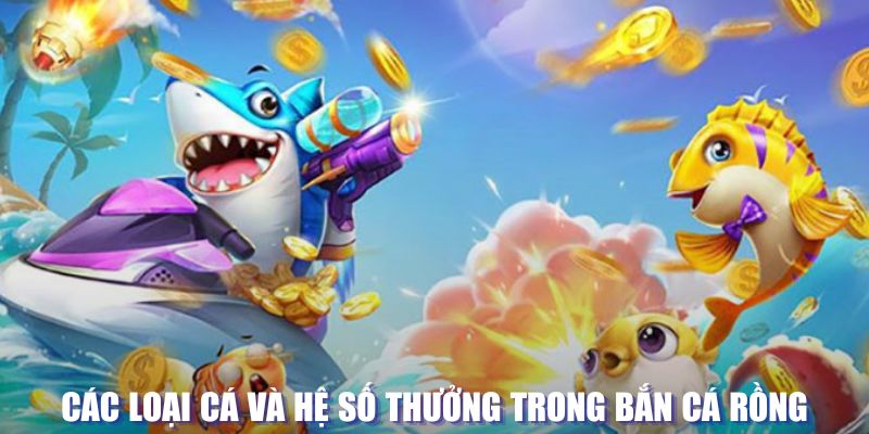 mb 666 đăng nhập sòng bạc mới nhất