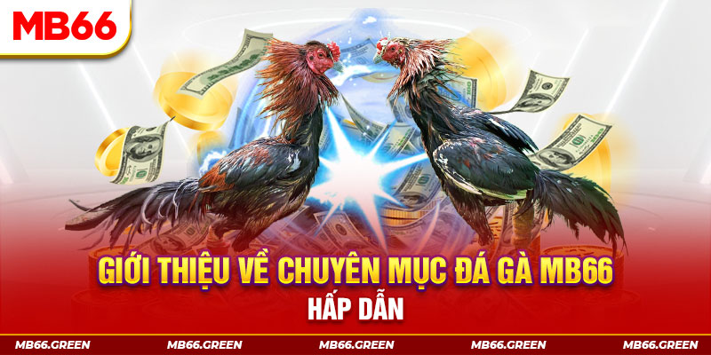 mb 666 đăng nhập sòng bạc đổi thưởng