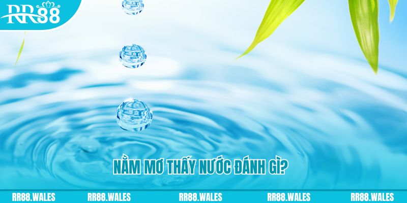mb 666 TP Bắn cá