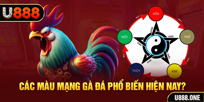 mb 666 trực tiếp đá gà 88