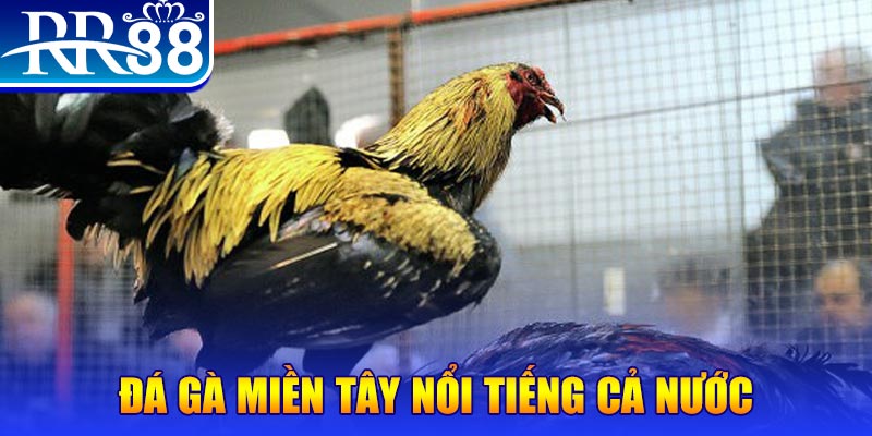 mb 666 JILI Game Bài 3d