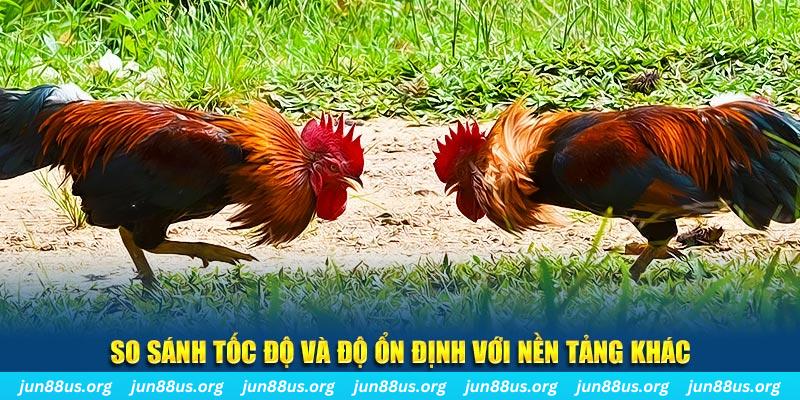 mb 666 đá gà hôm nay