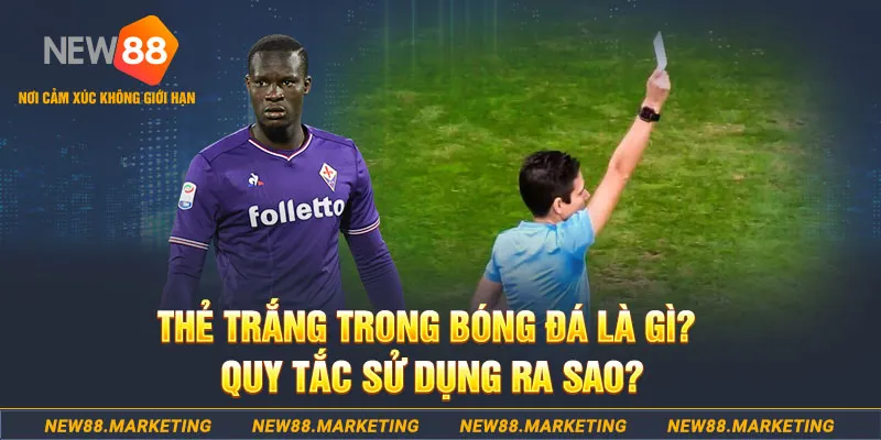 mb 666 gà chọi mộc hóa