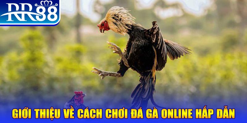 mb 666 game nổ hũ rút tiền mặt là gì