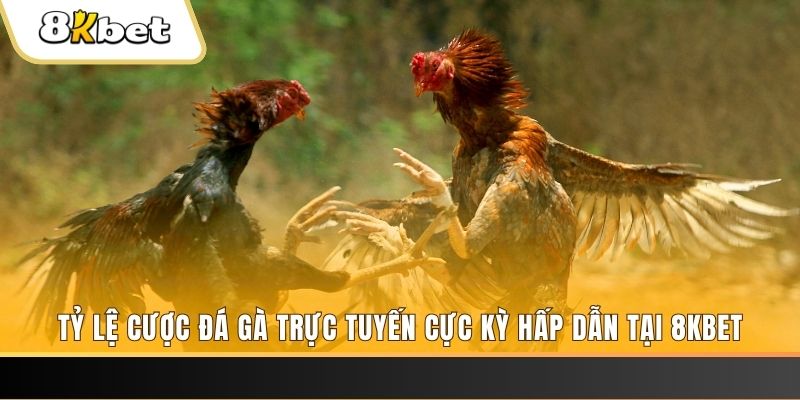 mb 666 đăng nhập phỏm trực tiếp