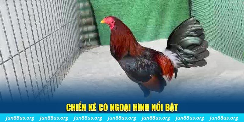 mb 666 chạy quảng cáo cho game bài bị phạt như thế nào