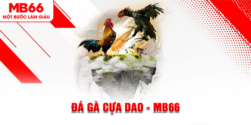 mb 666 đá gà sv388 gold