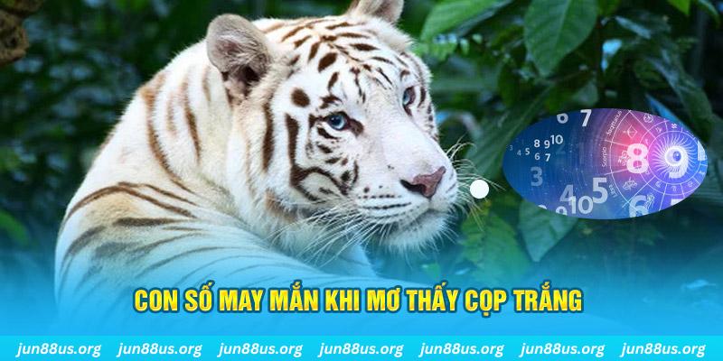 mb 666 đá gà trực tiếp 88